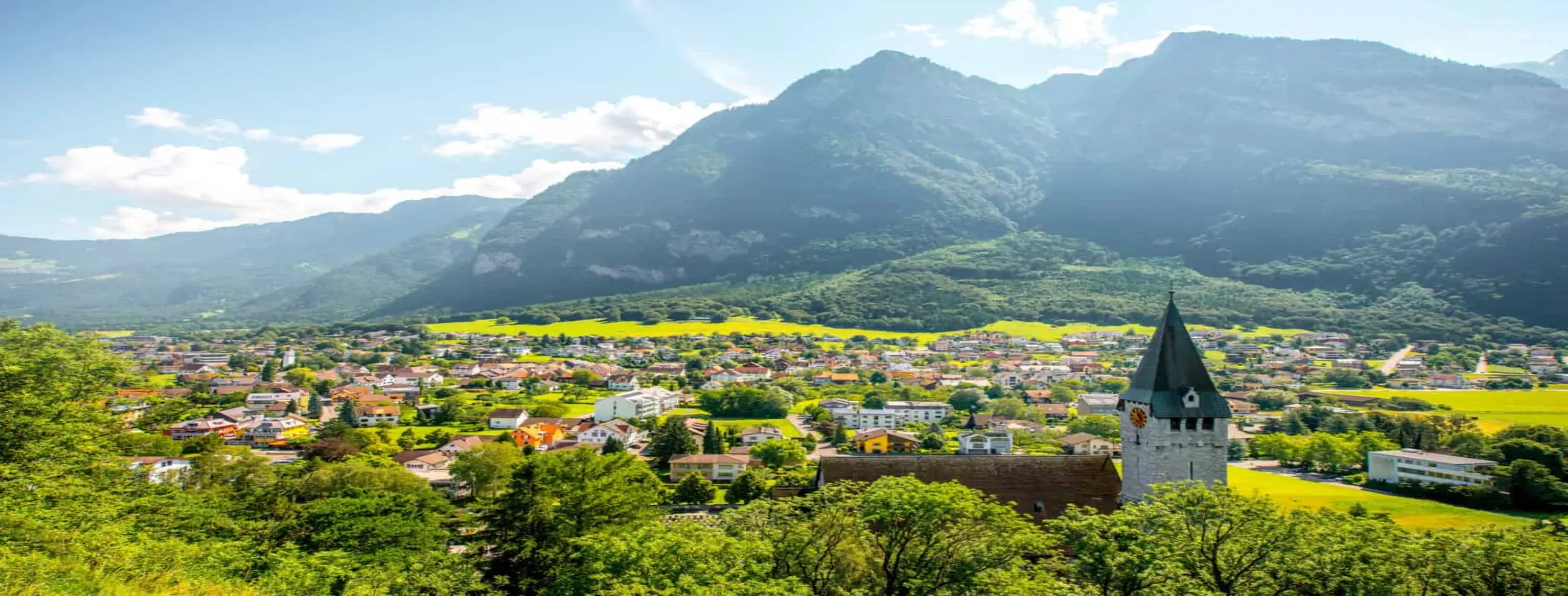 Image for Liechtenstein Center